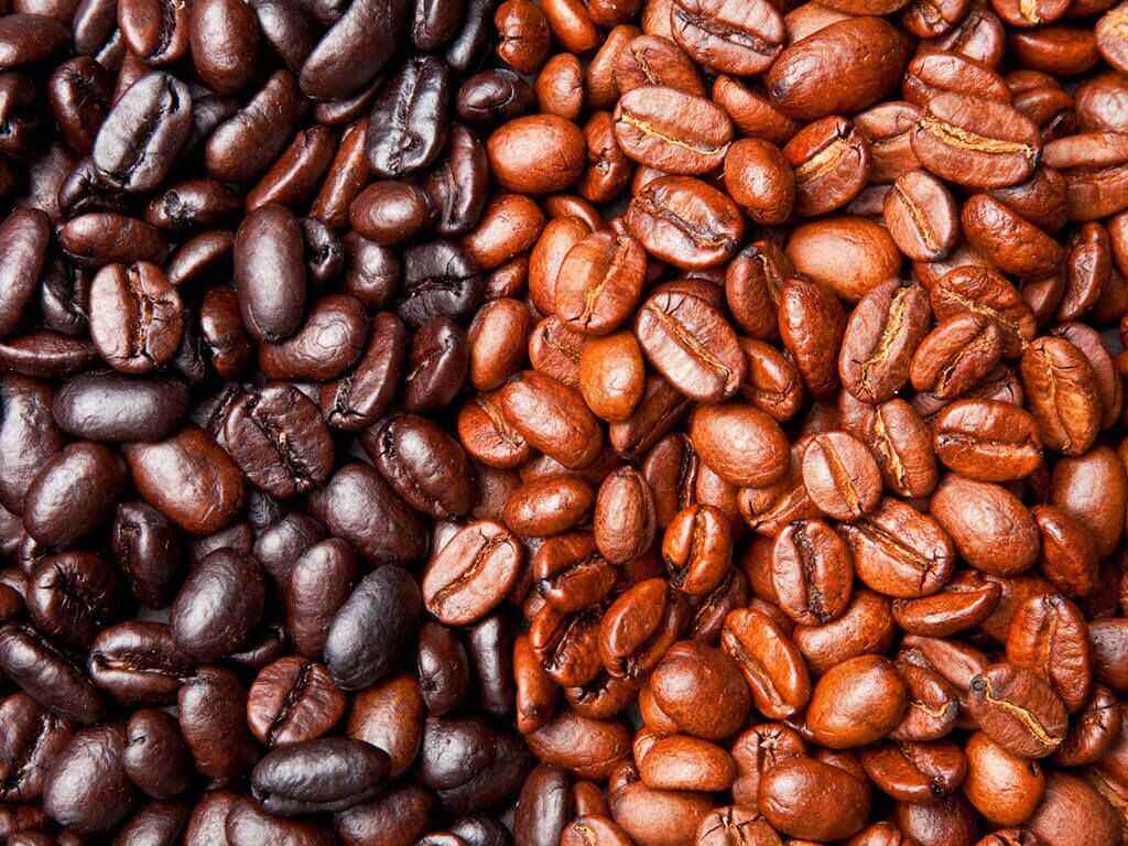 6 Diferencias del cafe de especialidad y torrado