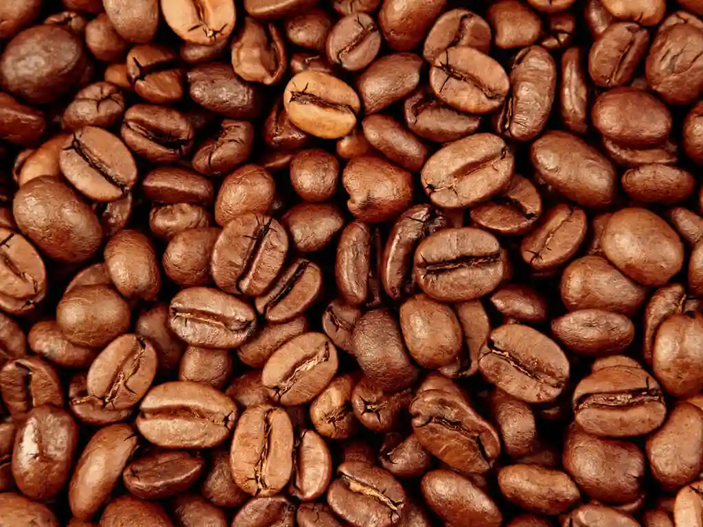 Granos de cafe de especialidad descafeinado